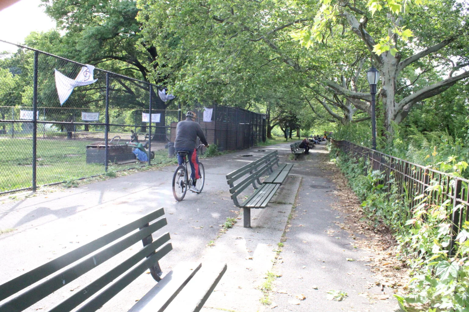 Inwood Hill Park A cyclist rides away down a wide park path lined with green benches on both sides, with chain-link fencing bordering a ball field on the left and ivy-covered fence on the right.