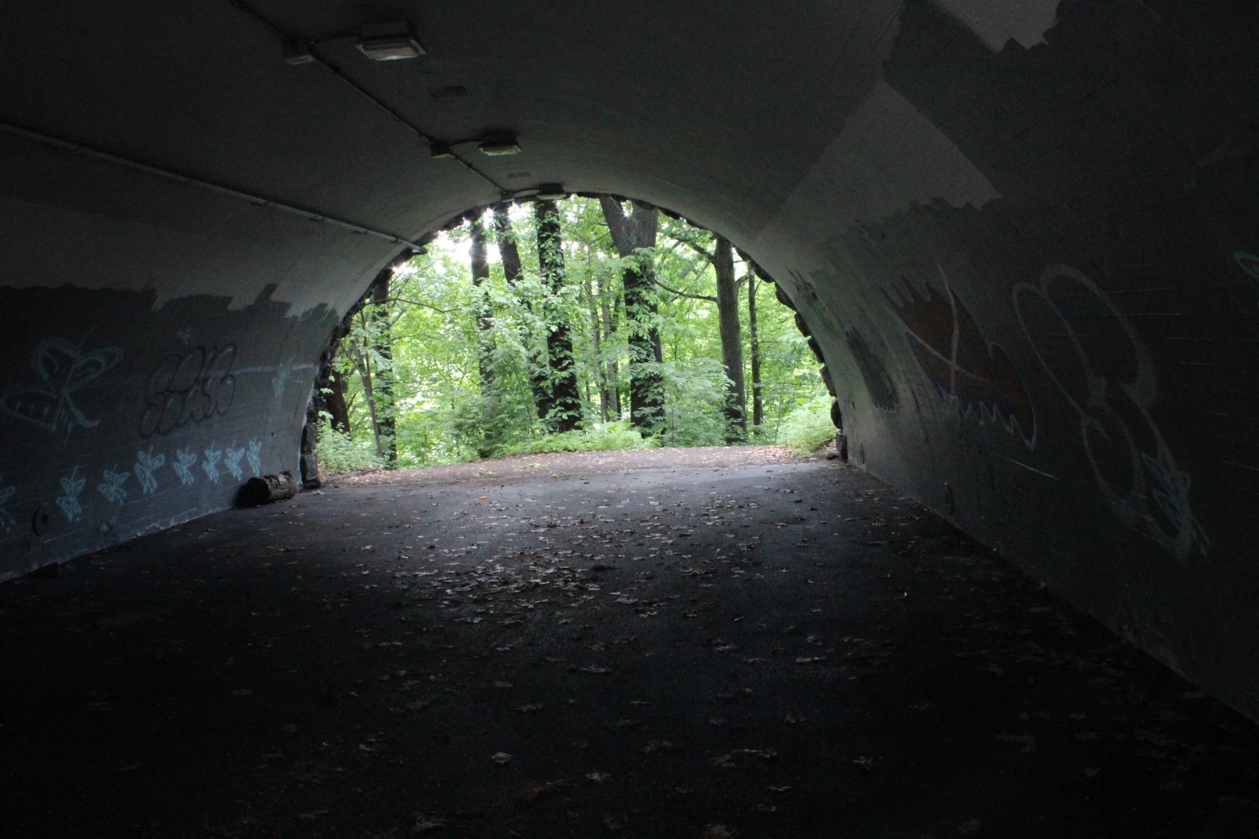 Inwood Hill Park The interior of the tunnel underpass looking toward the arched opening, with graffiti on the curved walls and green forest visible at the far end.