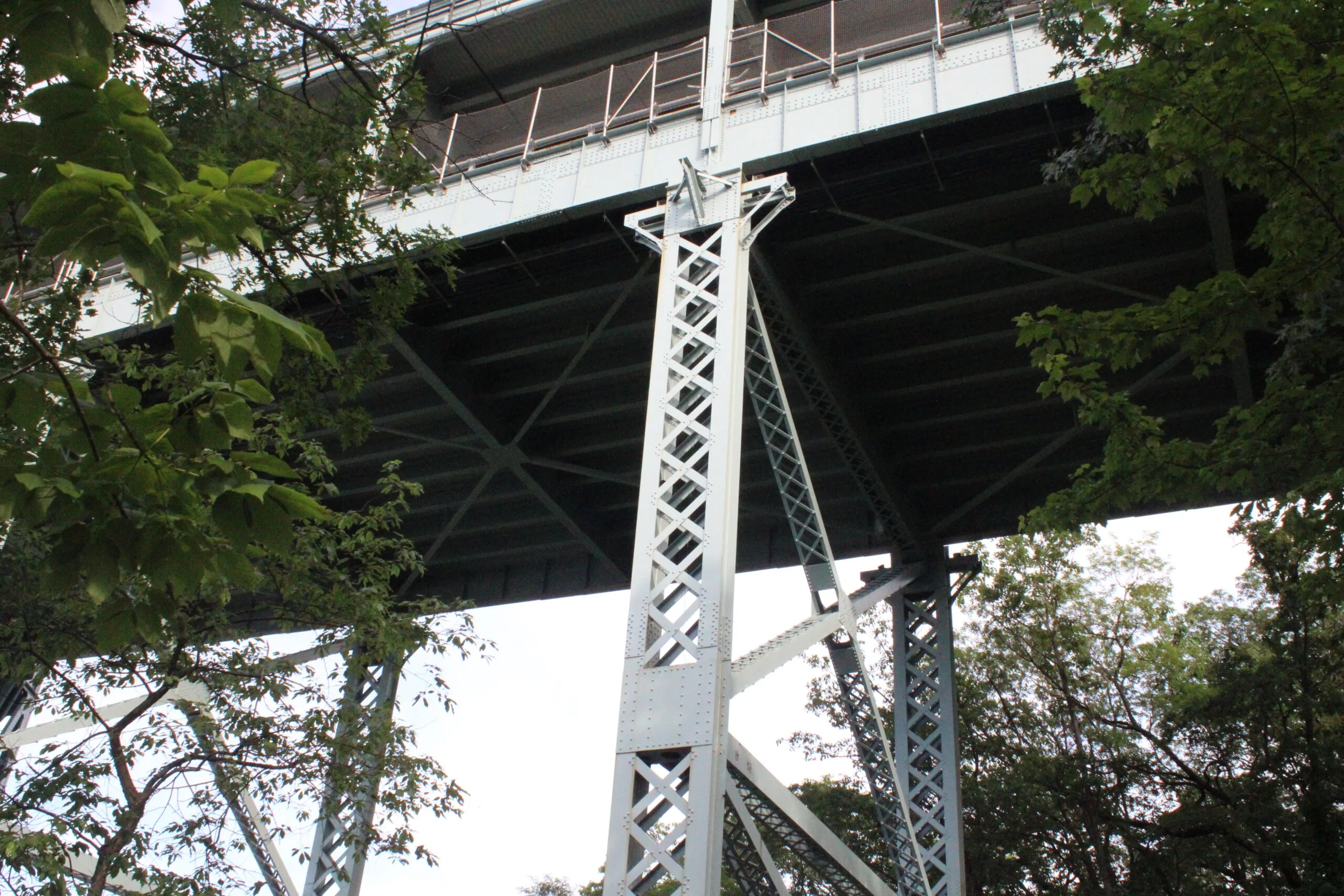 Inwood Hill Park An upward view of the underside of the Henry Hudson Bridge, showing the massive grey steel trusses and support columns rising through the tree canopy.