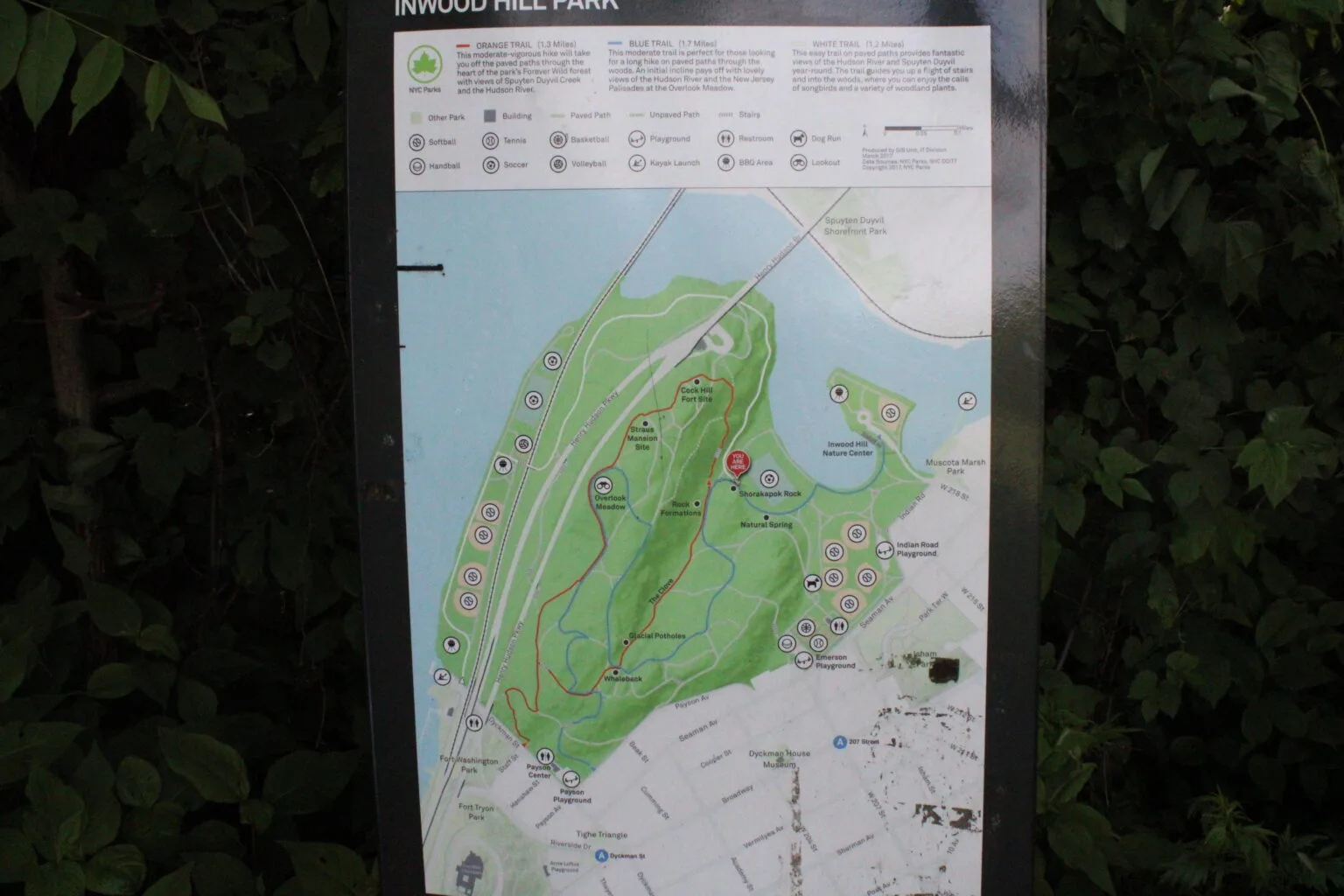 Inwood Hill Park An official NYC Parks trail map sign for Inwood Hill Park, showing the Orange, Blue, and White trail routes overlaid on a green map of the park peninsula