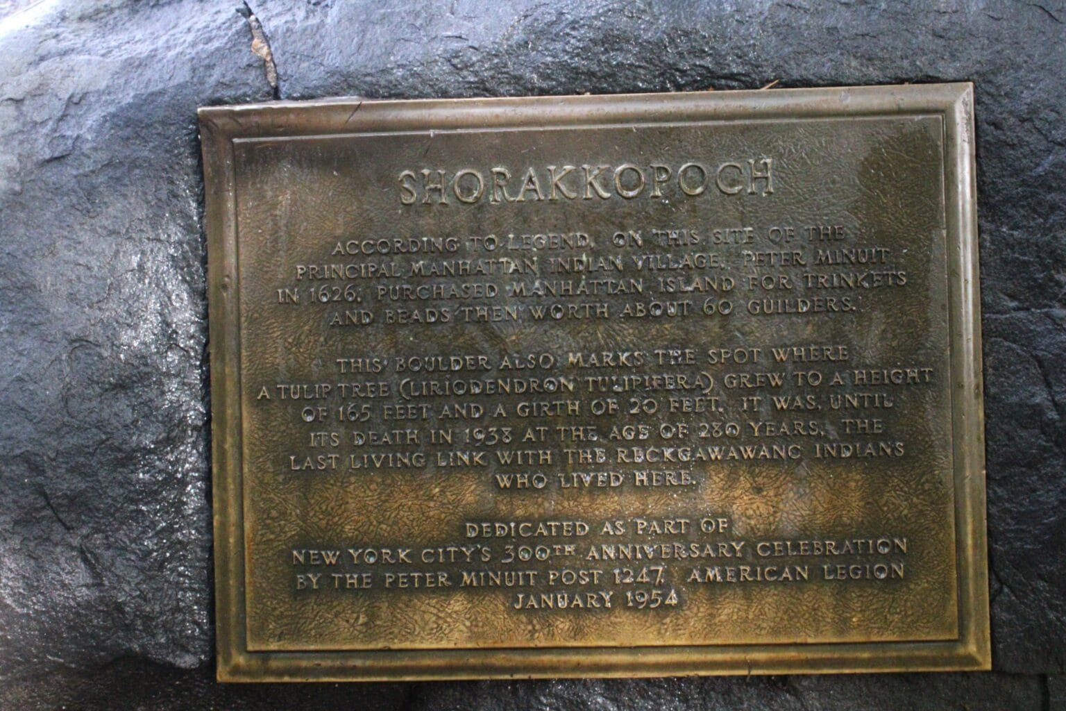 Inwood Hill Park Close-up of the Shorakkopoch bronze plaque set into a boulder, commemorating the legendary site of Peter Minuit's 1626 purchase of Manhattan Island and marking where a historic 280-year-old tulip tree once stood.