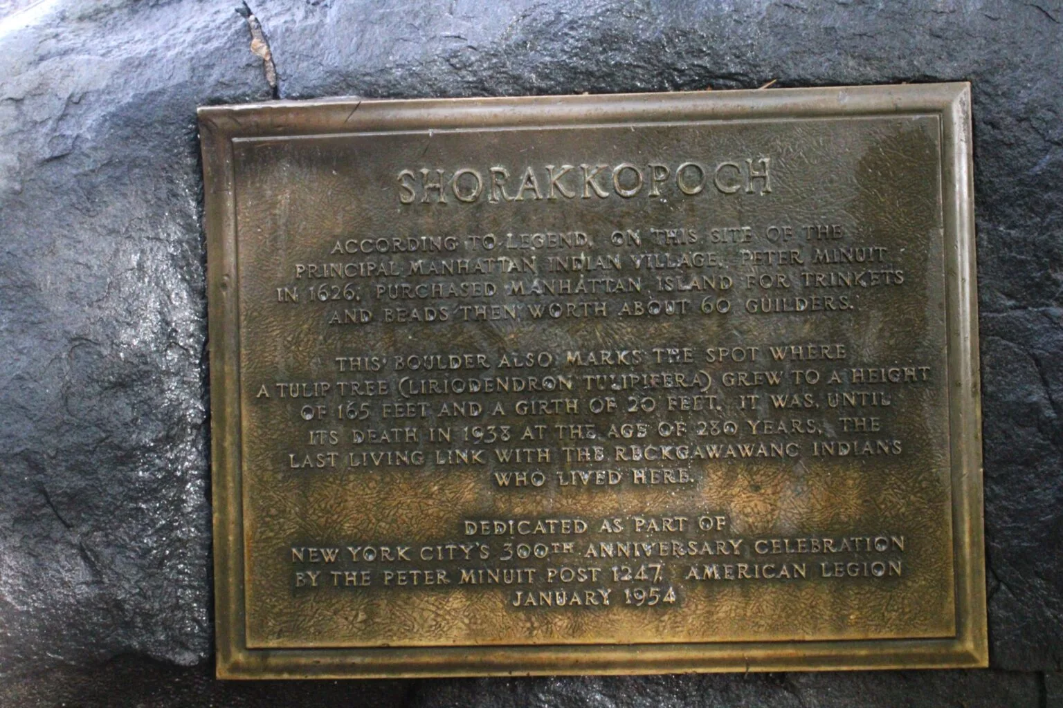 Inwood Hill Park Close-up of the Shorakkopoch bronze plaque set into a boulder, commemorating the legendary site of Peter Minuit's 1626 purchase of Manhattan Island and marking where a historic 280-year-old tulip tree once stood.