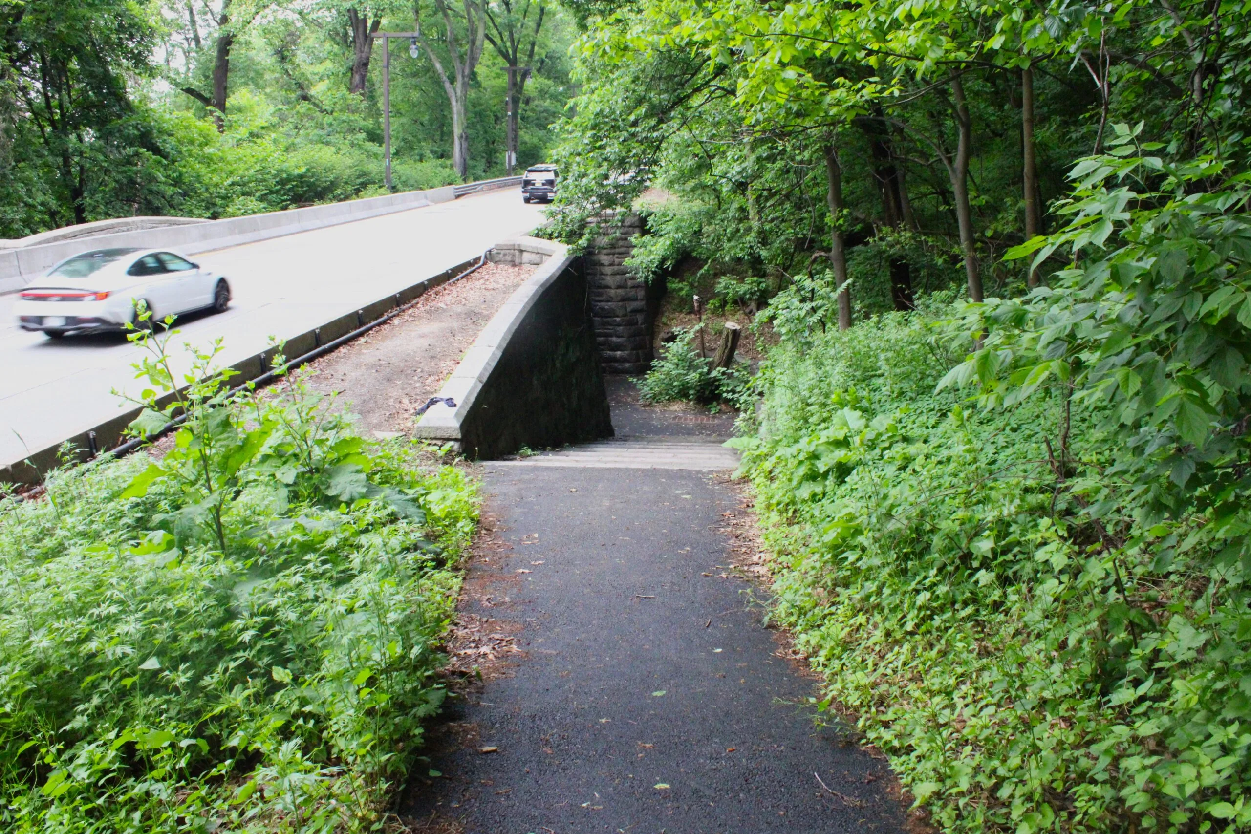 Inwood Hill Park A narrow paved trail runs alongside the Henry Hudson Parkway with a stone masonry wall ahead, lush green vegetation on both sides, and a car visible on the road above.