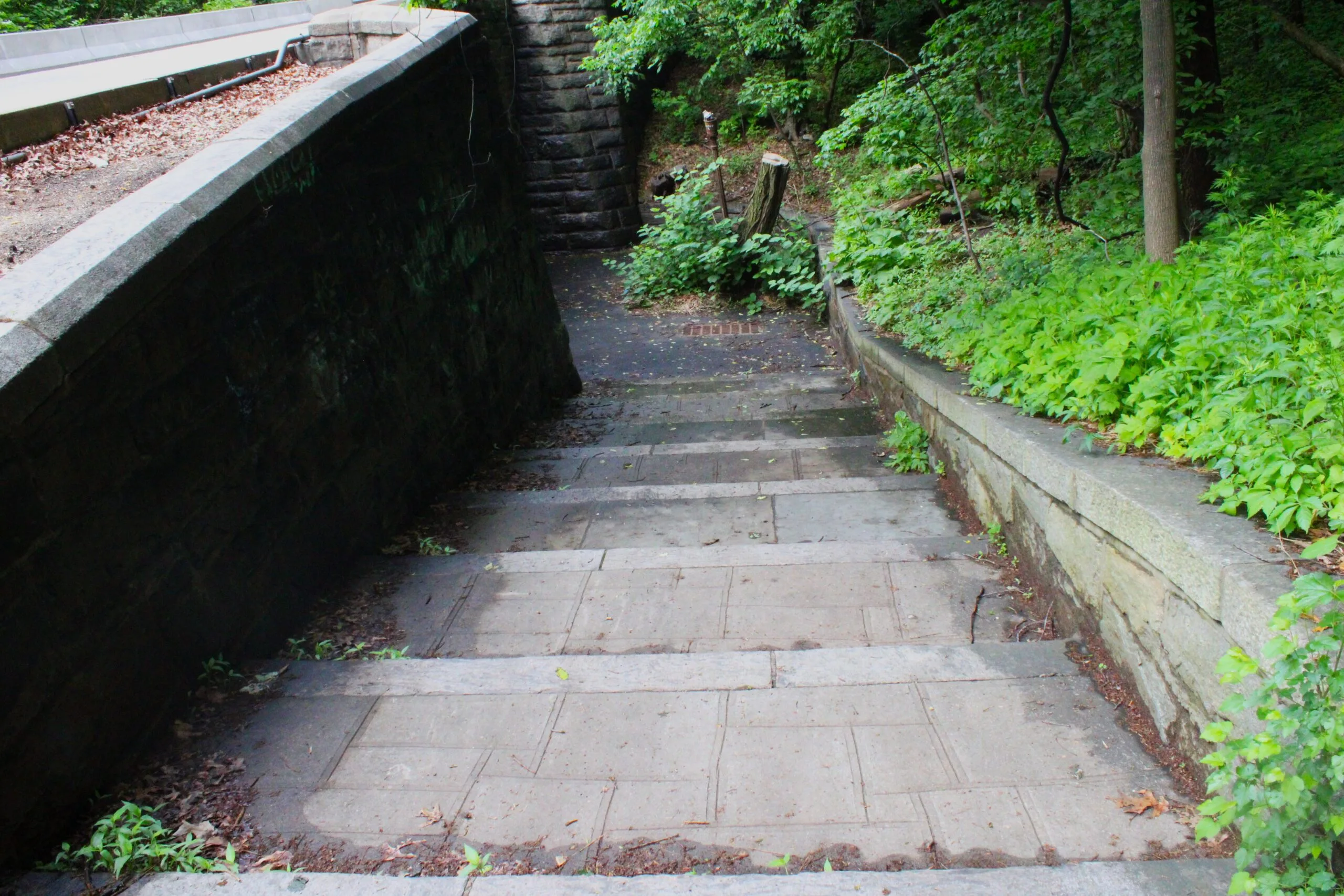 Inwood Hill Park Wide stone steps descend between stone retaining walls, leading from the parkway level down into the green forest interior of the park.