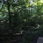img 3344